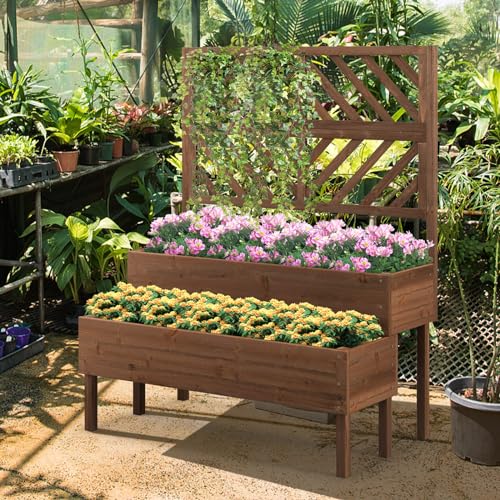 Raised Garden Bed with Trellis & 2 Planter Boxes