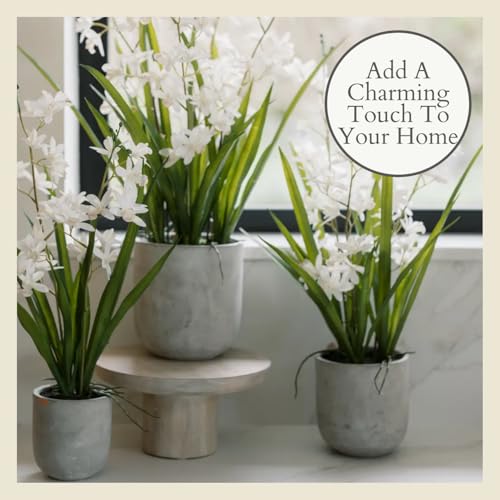 Faux Vanda Orchid Plant (20.5" Vanda Orchid)
