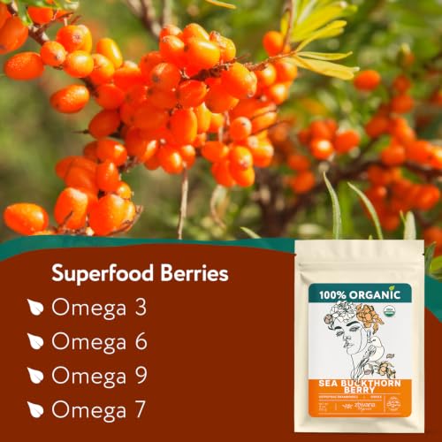 Organic Sea Buckthorn Berry 4oz. (4 Ounce)