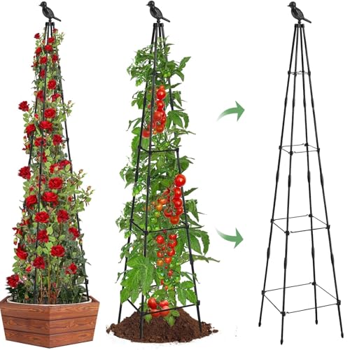 2Pack Garden Trellis for Climbing Plants Outdoor Indoor Pot 67'' Cucumber Trellis for Climbing Plant Support for Climbing Vegetables Plants Garden Obelisk Trellis Tomato cage & Climbing Rose
