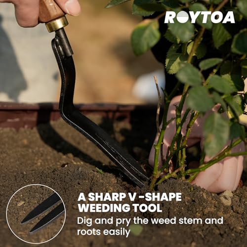 Garden Tool Set