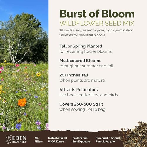 Burst of Bloom Wildflower Mixed Seeds for Planting (120000 Count)