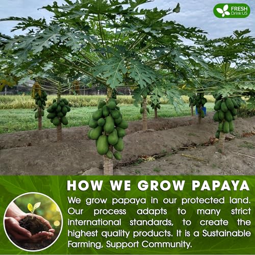 Premium 4 oz Papaya Dried Loose Leaves (4oz)