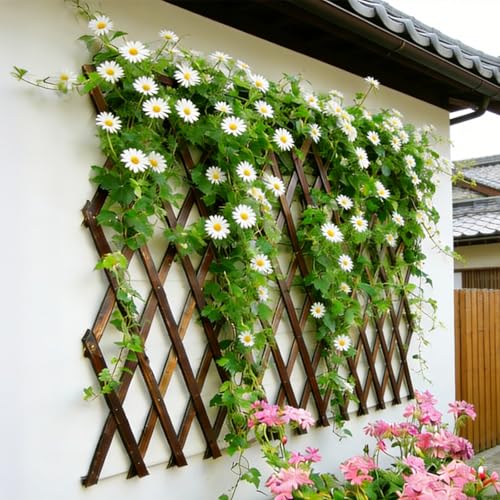 2Pcs Expandable Garden Trellis (2 Count)
