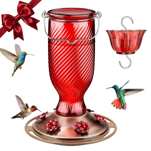 24 Oz Glass Hummingbird Feeder for Outdoors