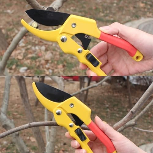 Garden clippers