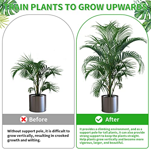 2 Pack 27.56" Detachable Twig Plant Support Stakes Set