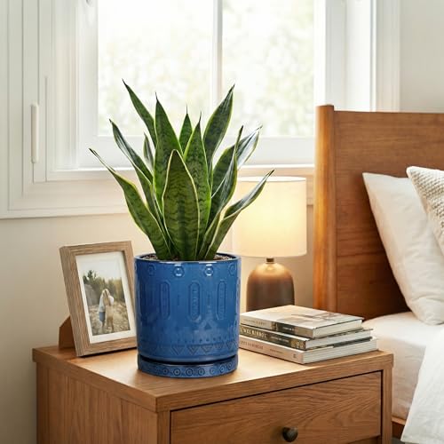 Ceramic Planter (6 Inch / Blue - 2)