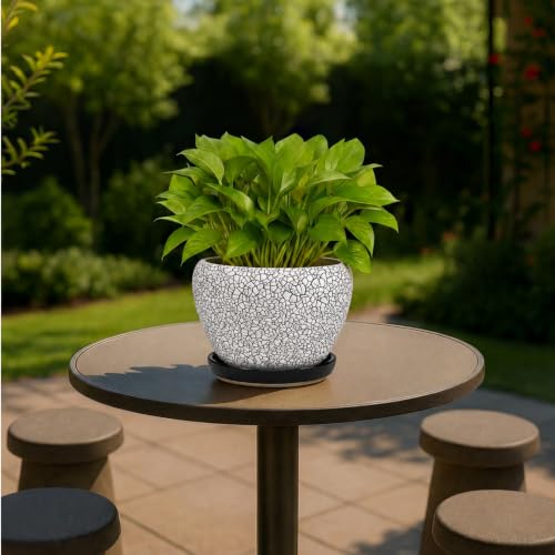 6 Inch Plant Pots (Wood Crack Black / 6 Inch)