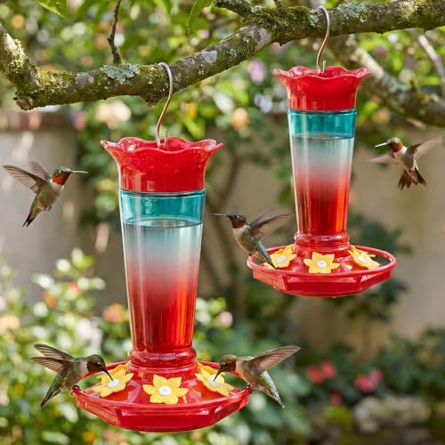 Glass Hummingbird Feeders for Outdoors Hanging Ant and Bee Proof Red & Blue 10OZ 2Pack Bird Feeders for Outside Hanging 6 Feeding Stations Bird Nectar Feeder for Garden Yard Décor Gift for Mom (20 Fl Oz)