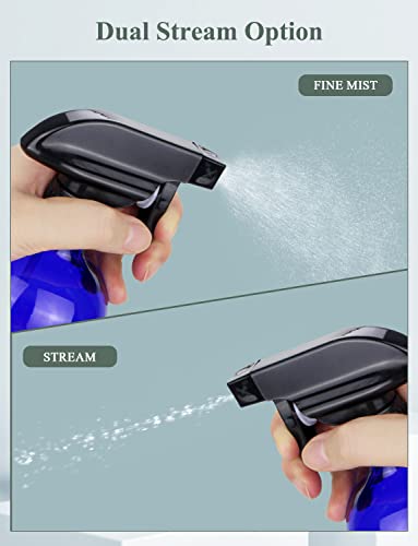 Glass Spray Bottle (2 Count)