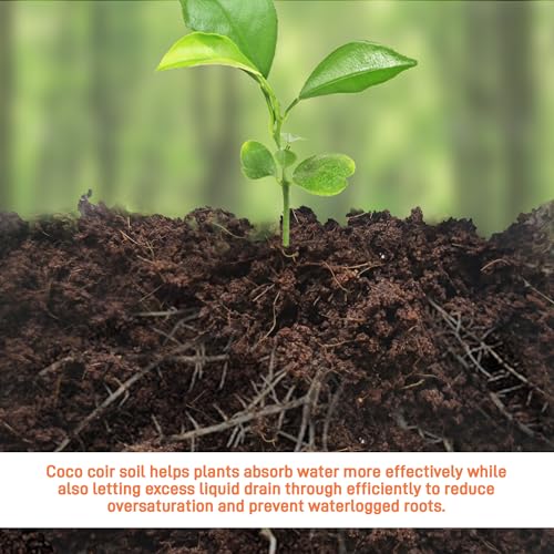 Premium Organic Coconut Coir Bricks