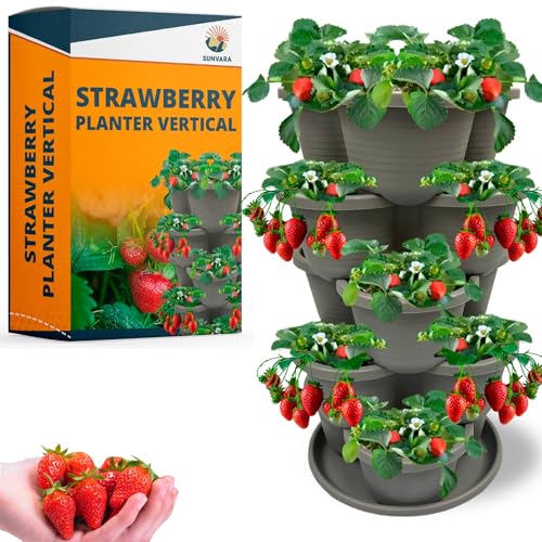 Strawberry Planter Vertical Gardening Stackable Planter Strawberry Tower 5 Tier Herb Outdoor Indoor