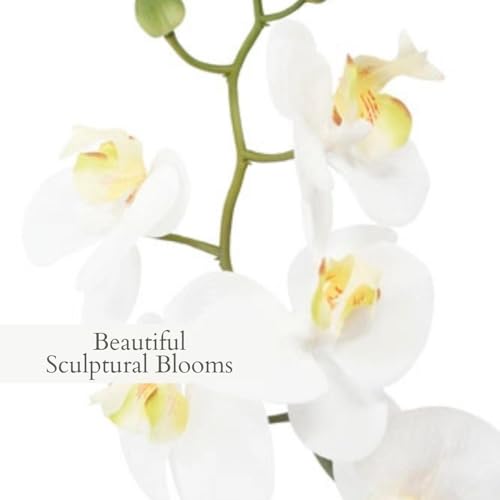Faux Phalaenopsis White Orchid Plant (22" White Phale Orchid (Set-of-2))