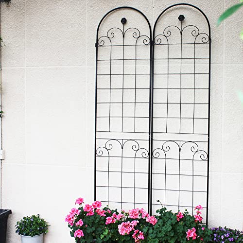 4 Pack Metal Garden Trellis for Climbing Plants (Black C-86.7"H)