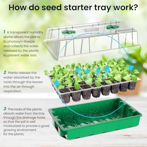 2 Pack Seed Starter Tray with Grow Light (2 Count)