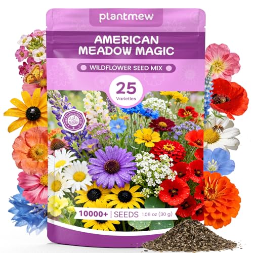 Wildflower Seeds Bulk Mix
