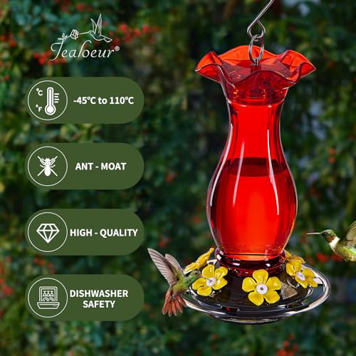 Hummingbird Feeder for Outdoors Hanging