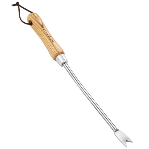 Dandelion Weeding Tool