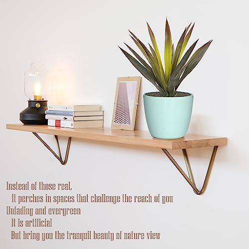 2pcs Artificial Agave Plants (2 Count)