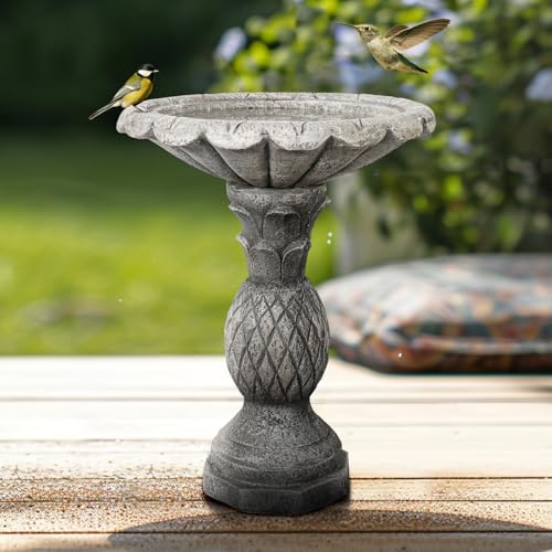 24.8" H Cement Modern Outdoor Bird Bath