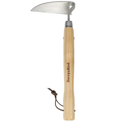 Garden Hand Hoe