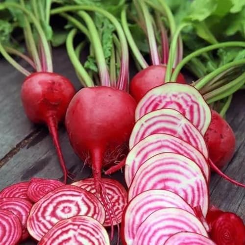 50+ Beet Seeds for Planting
