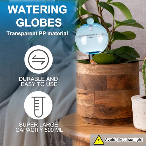 6 Pack Self Watering Globes 17oz Large Plant Watering Globes Top Fill