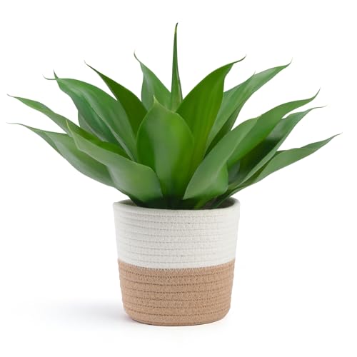 Fake Agave with Woven Cotton Rope Basket (Beige)