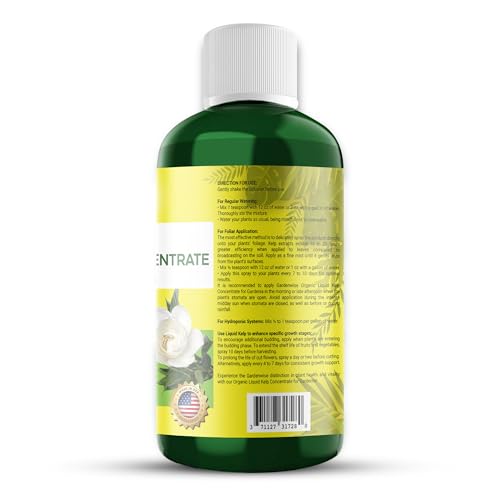 Organic Premium Kelp Seaweed Fertilizer for Gardenia (8 Fl Oz)