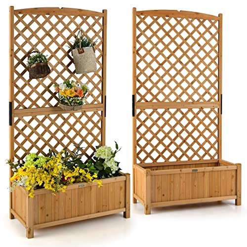 2 Pcs Planter Raised Bed with Trellis (2 Count)