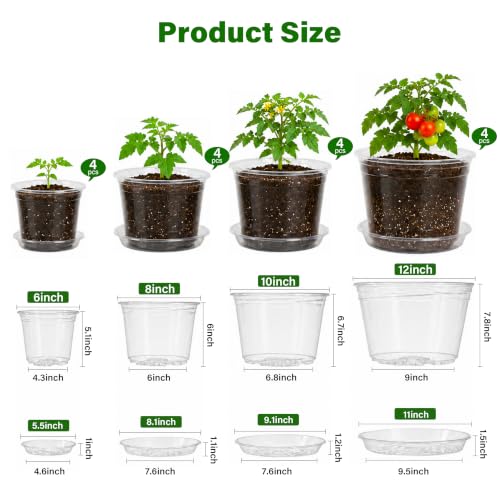 Clear Nursery Pots with Saucers (6/8/10/12 Inch-20Pcs)