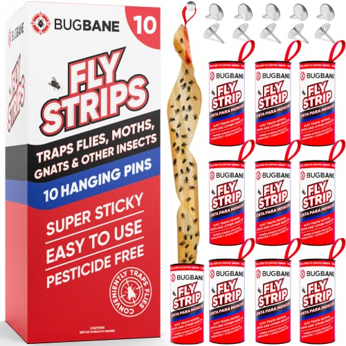 Fly Strips Indoor Sticky Hanging 10pk with Pins. Non Toxic Outdoor Fly Trap Indoor for Home. Flies Tape Paper Trap Ribbon Roll for House Gnat Fruit and Housefly. Bug Catchers for Inside Home Flypaper (10 count)