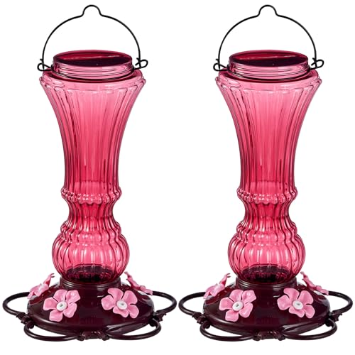 2 Pack Hummingbird Feeder for Outdoors Plastic Bee Proof Humming Bird Nectar Feeders with 5 Flower Feeding Ports Hanging for Outsides Garden Decor