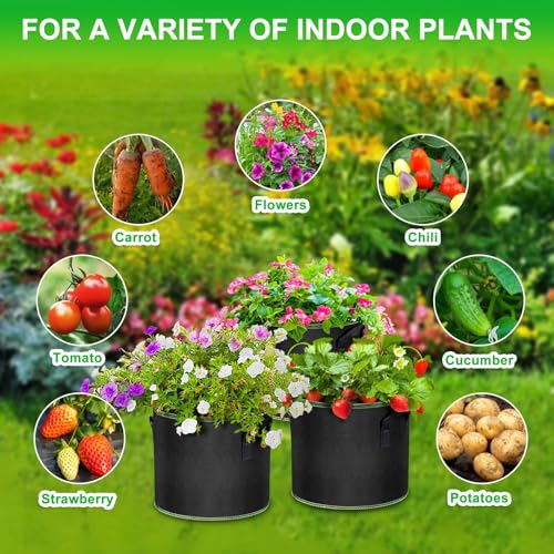 3 Pack 5 Gallon Grow Bags (3 Count)