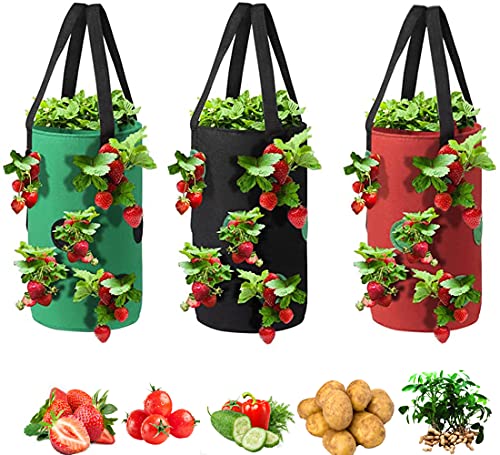 Upside Down Tomato Planter (3 Count)