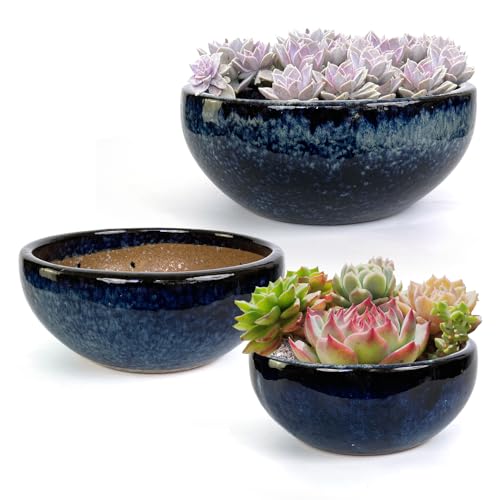 11 9 7 Inch Succulent Pot with Drainage and Mesh Pads Large Round Ceramic Plant Pot for Indoor Outdoor Plants Succulent Planter Cactus Bonsai Pot Container Set of 3 (3 Count)