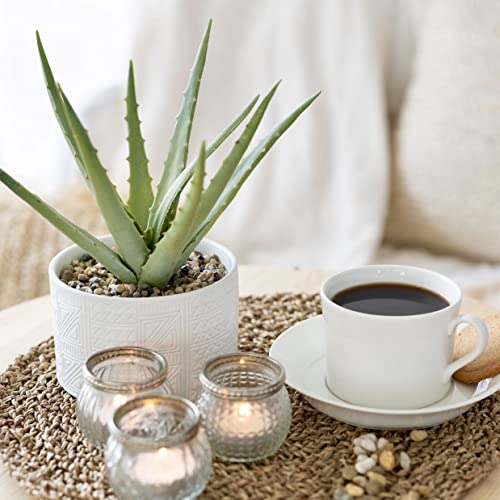 Artificial Plant in White Ceramic Pot