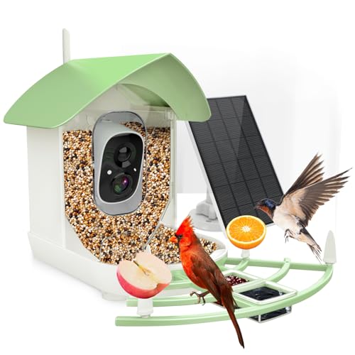 Bird Feeder with Camera