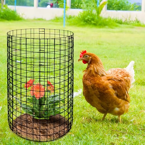 15 Packs Wire Plant Protector from Animals (15 Pack 12x12 Inch)