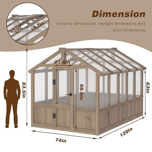 6'x10' Wooden Greenhouse for Outdoor (Brown / 6x10 FT)