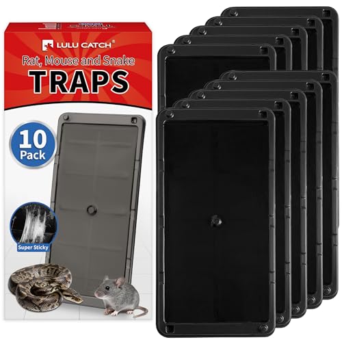 Mouse Traps 10 Pack (10 Pack / Large Mouse Traps)