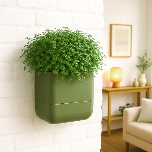 6.5 Inch Wall Mounted Self (6.5" (1 Pack) / Olive)