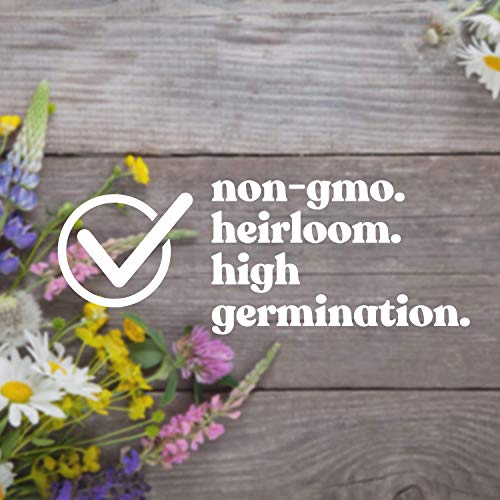 Mountain Valley Seed Co Wildflower Seeds Pollinator Collection Includes 3 (15000 Count)