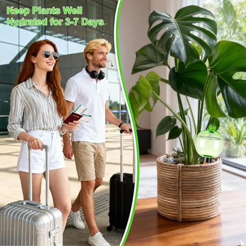 2 Pack Self Watering Globes 17oz Large Plant Watering Globes Top Fill (2 Count)