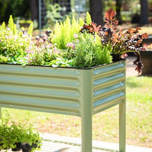 Rolling Elevated Raised Garden Bed