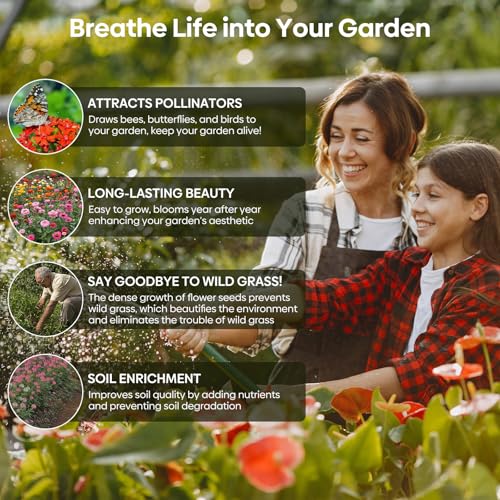 Wildflower Seeds (2 Ounce)