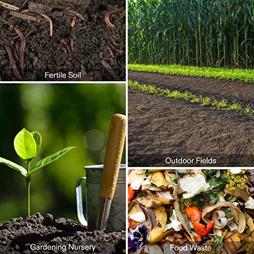 Compost Thermometer