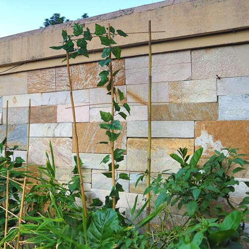 10 Pack 4ft Bamboo Trellis for Climbing Plants (10 Count)