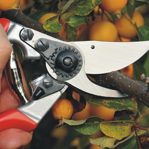F9 Pruning Shears